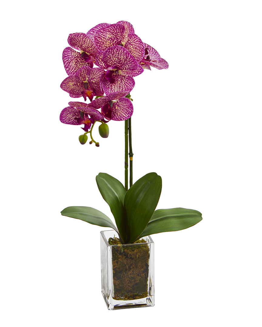 NEARLY NATURAL NEARLY NATURAL ORCHID PHALAENOPSIS ARTIFICIAL ARRANGEMENT IN VASE