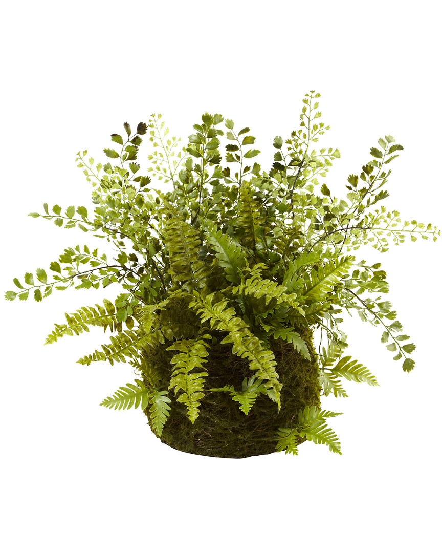 Nearly Natural Mixed Fern With Twig And Moss Basket