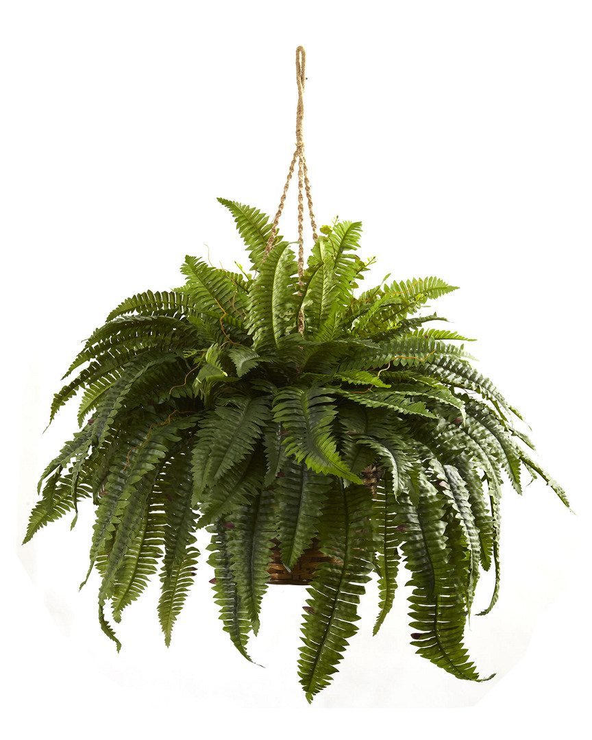 NEARLY NATURAL NEARLY NATURAL DOUBLE GIANT BOSTON FERN HANGING BASKET