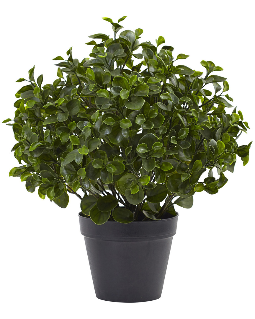 Nearly Natural Peperomia Plant Uv Resistant