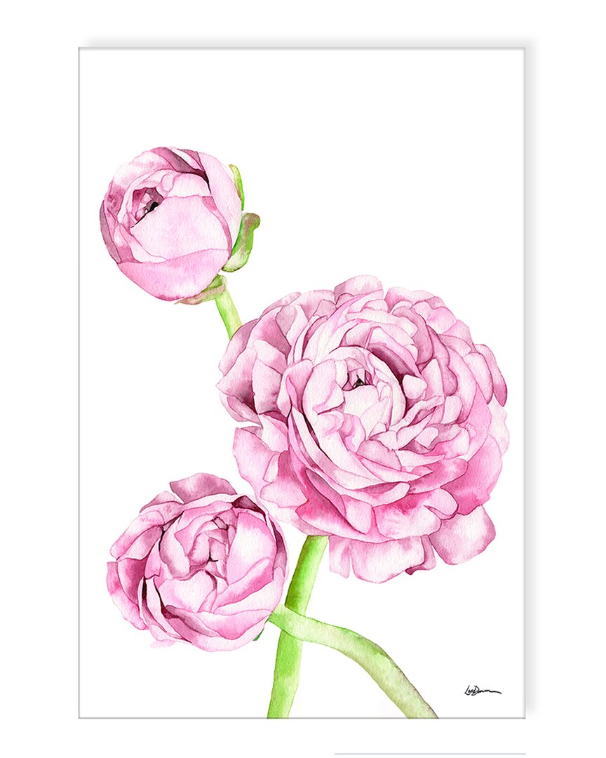 Ready2hangart Pink Ranunculus Wrapped Canvas Wall Art By Laurie Duncan