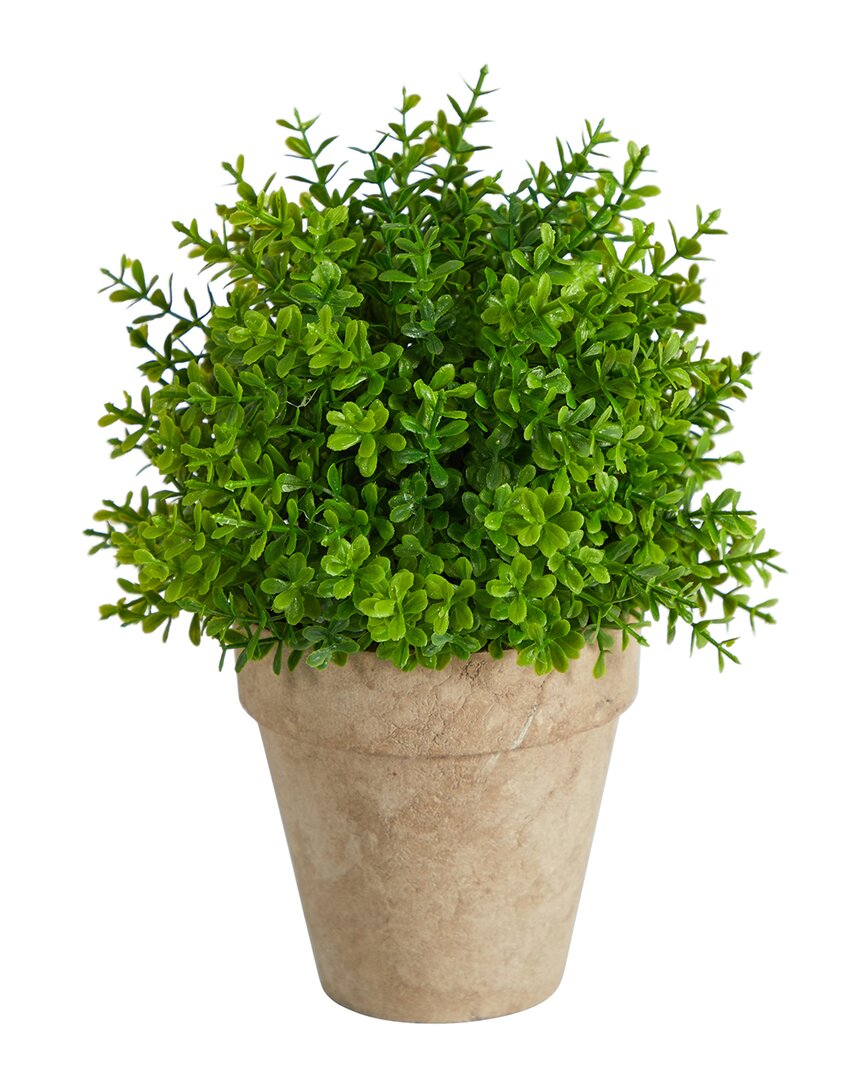 Nearly Natural 8in Boxwood Artificial Plant In Planter In Green