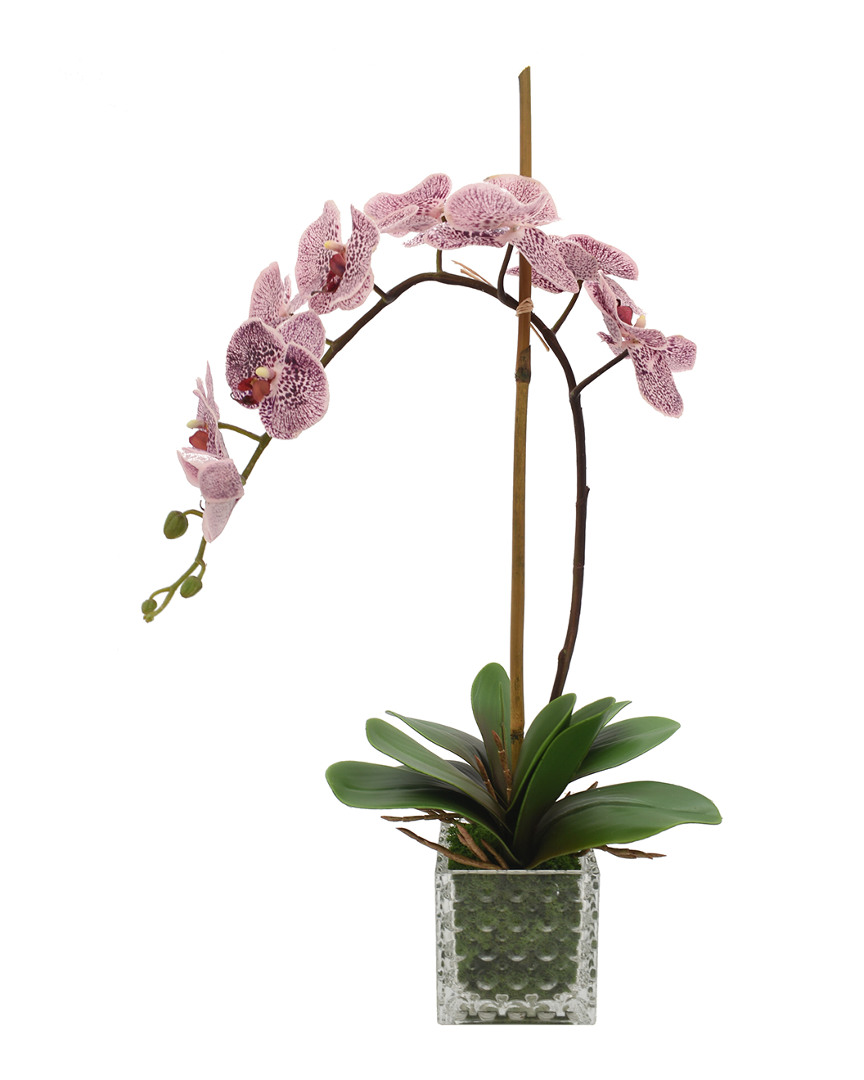 Creative Displays Purple/lavender Orchid Floral Arrangement
