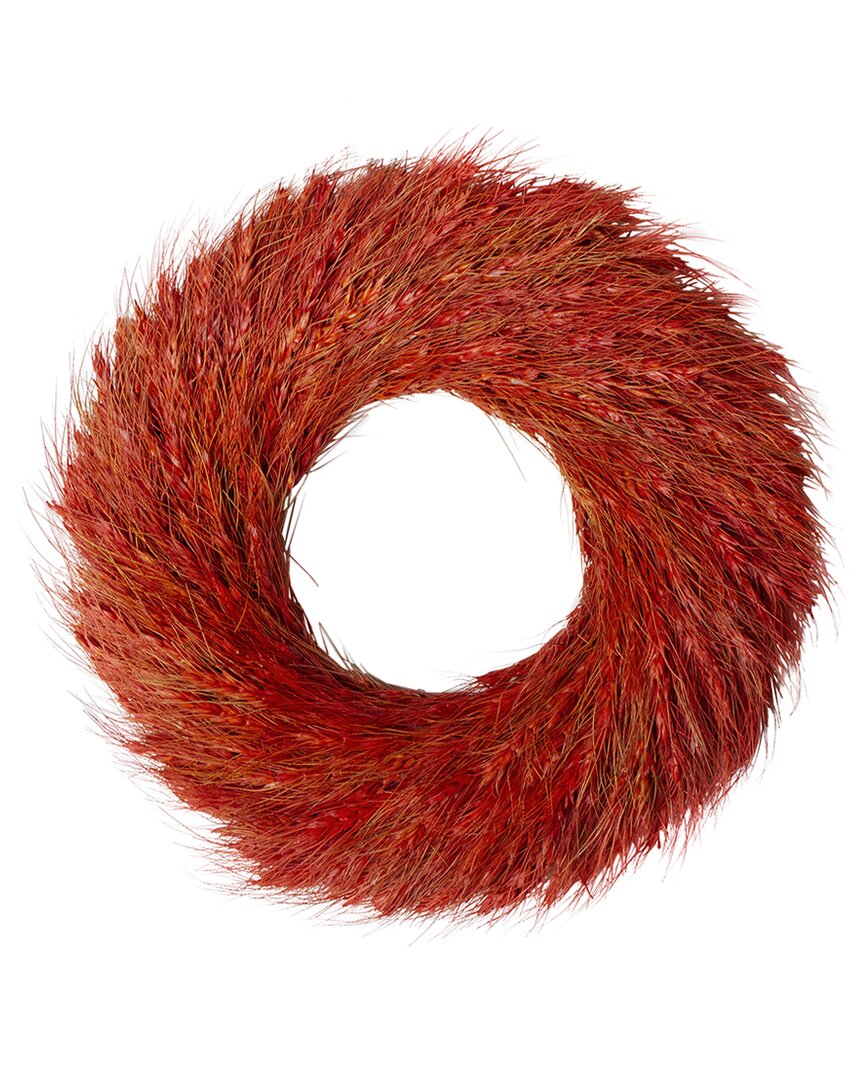 Northlight Ears Of Wheat Fall Harvest Wreath In Red