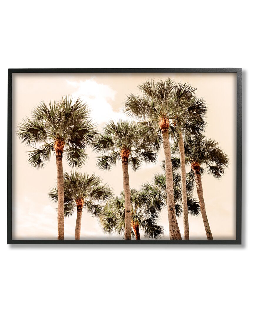 Stupell Summer Palm Trees Sky Framed Giclee Wall Art By Natalie Carpentieri