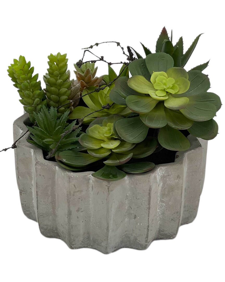 G.t. Direct Corporation Gt Direct 7in Faux Succulent In Cement Pot In Grey