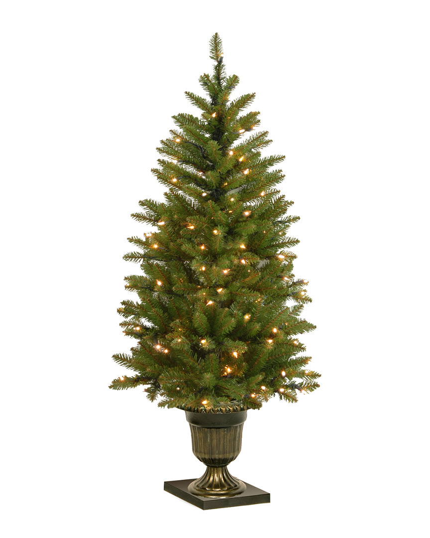 National Tree Company 4ft Dunhill Fir Entrance Tree With 70 Clear Lights In Dark Bronze Pot