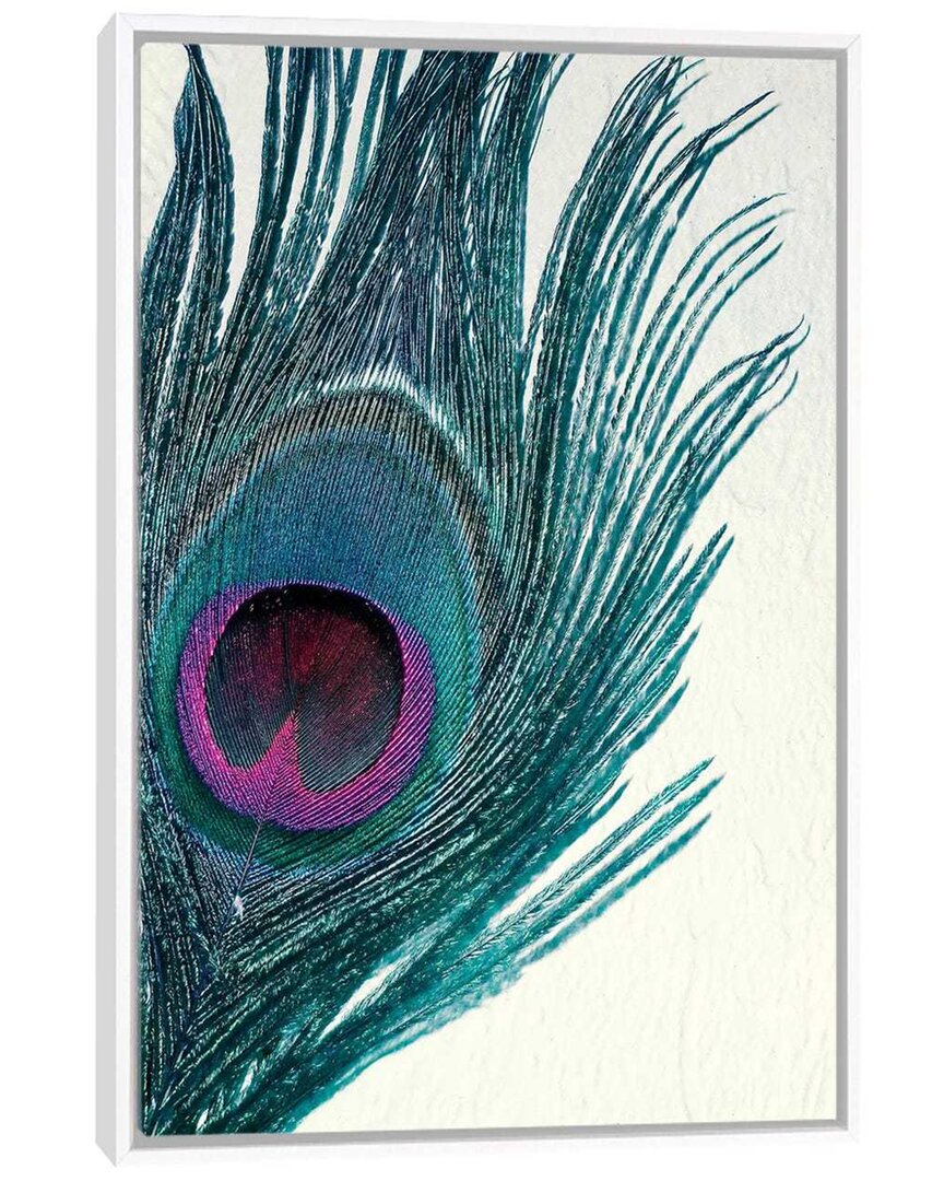 Icanvas Feather By Claudia Drossert