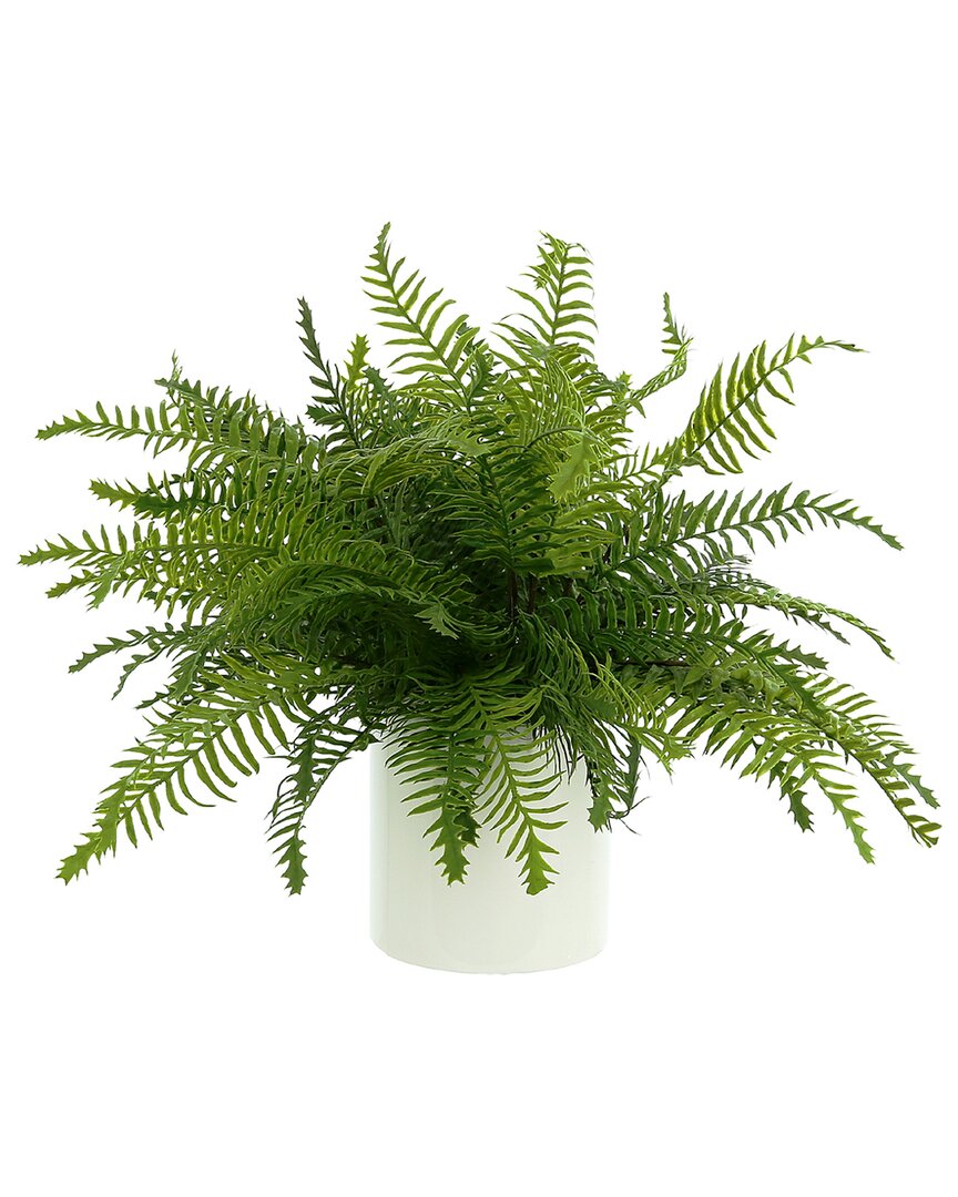 Creative Displays Uv Protected Outdoor Fern Plant In Green