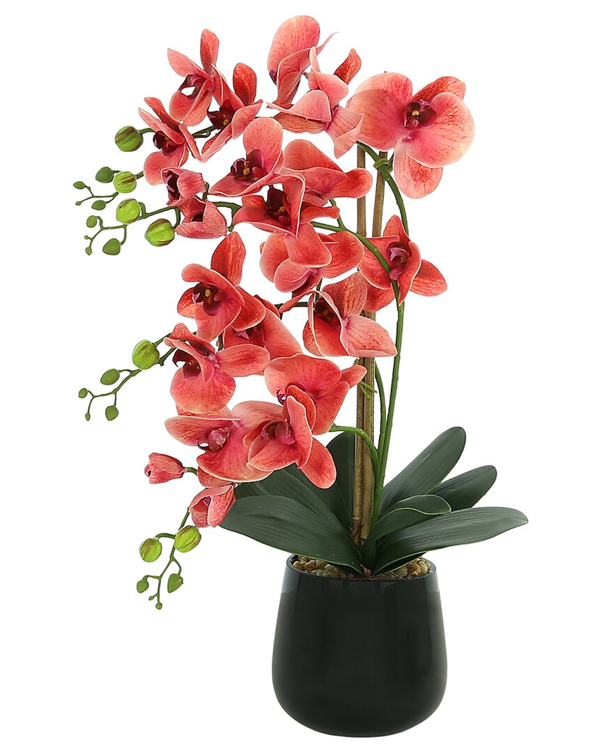 Creative Displays Pink Orchid Arrangement In A Black Glass Vase With Leaves And River Rocks