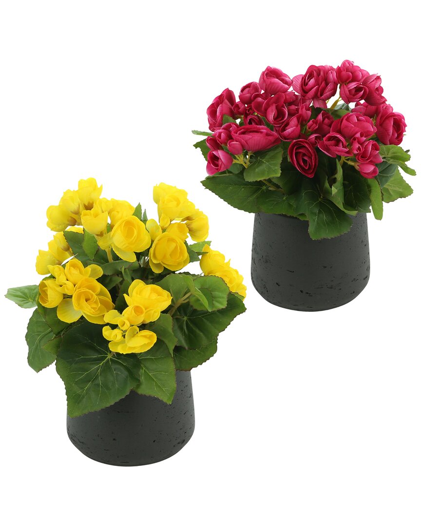 Creative Displays Discontinued  Pink & Yellow Begonia Flower Set In Green