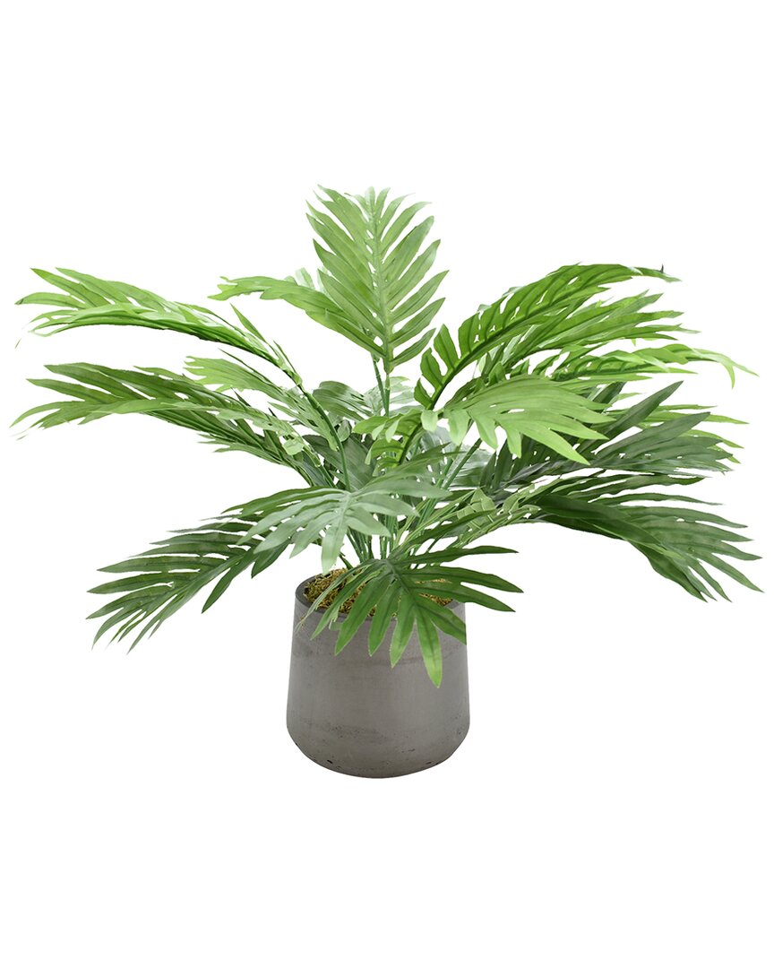Creative Displays Areca Palm In A Dark Grey Fiberstone Pot In Green