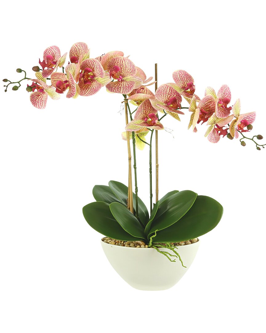 Creative Displays Orchid Arrangement In Ceramic Pot With Rocks In Pink