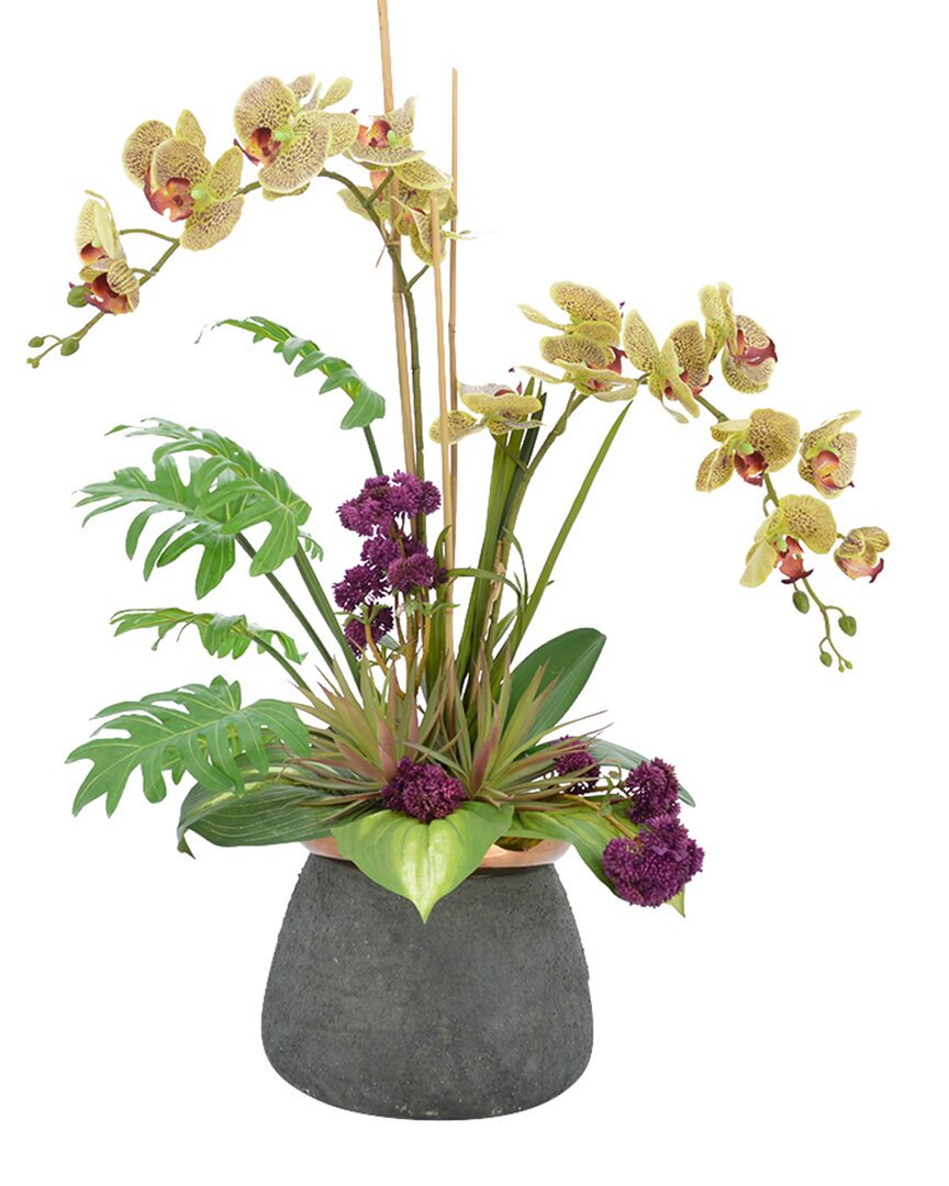Creative Displays Orchid, Sedum & Cactus Arrangement In Green