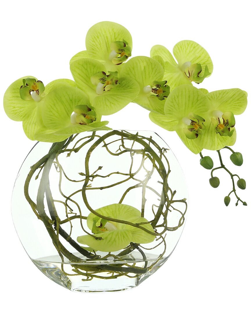 Creative Displays Orchid Floral In Glass Vase With Vines In Green