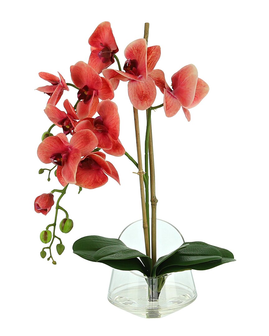 Creative Displays Orchid Arranged In Round Glass Vase In Orange