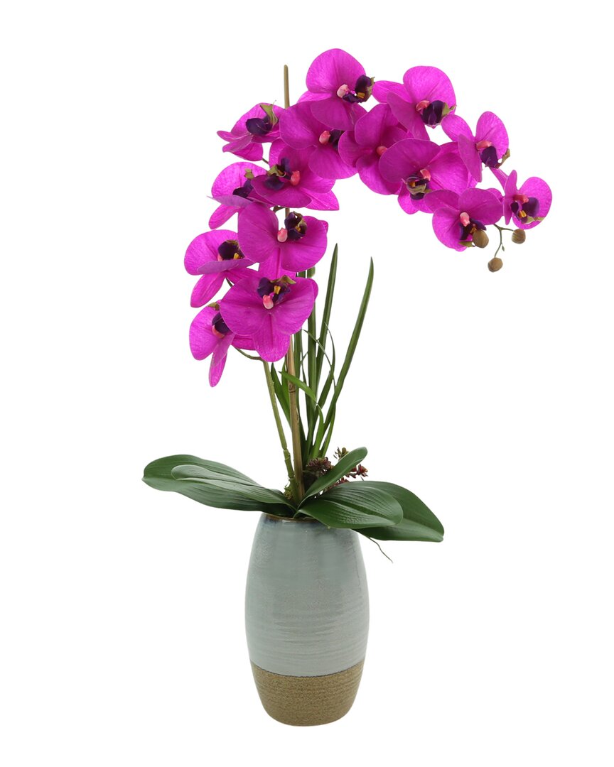 Creative Displays Hot Pink Orchid Floral Arrangement In Multi