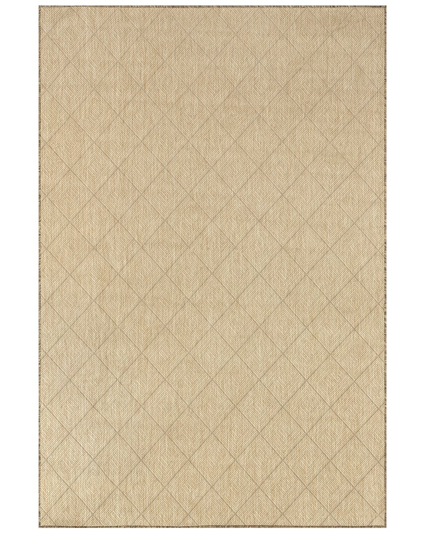Nuloom Ray Diamond Indoor/outdoor Polypropylene & Polyester Area Rug