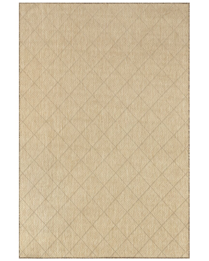 Shop Nuloom Ray Diamond Indoor/outdoor Polypropylene & Polyester Area Rug