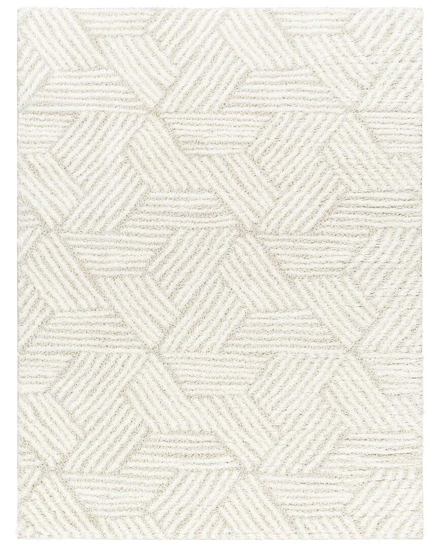 Surya Cloudy Shag Polyester Rug In White
