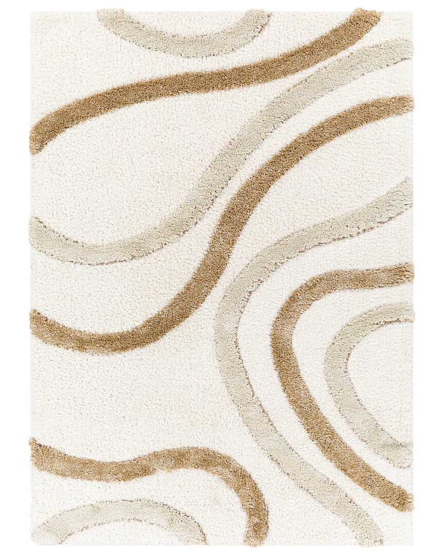 Surya Hudson Shag Camel Modern Area Rug Hds2311 In Grey