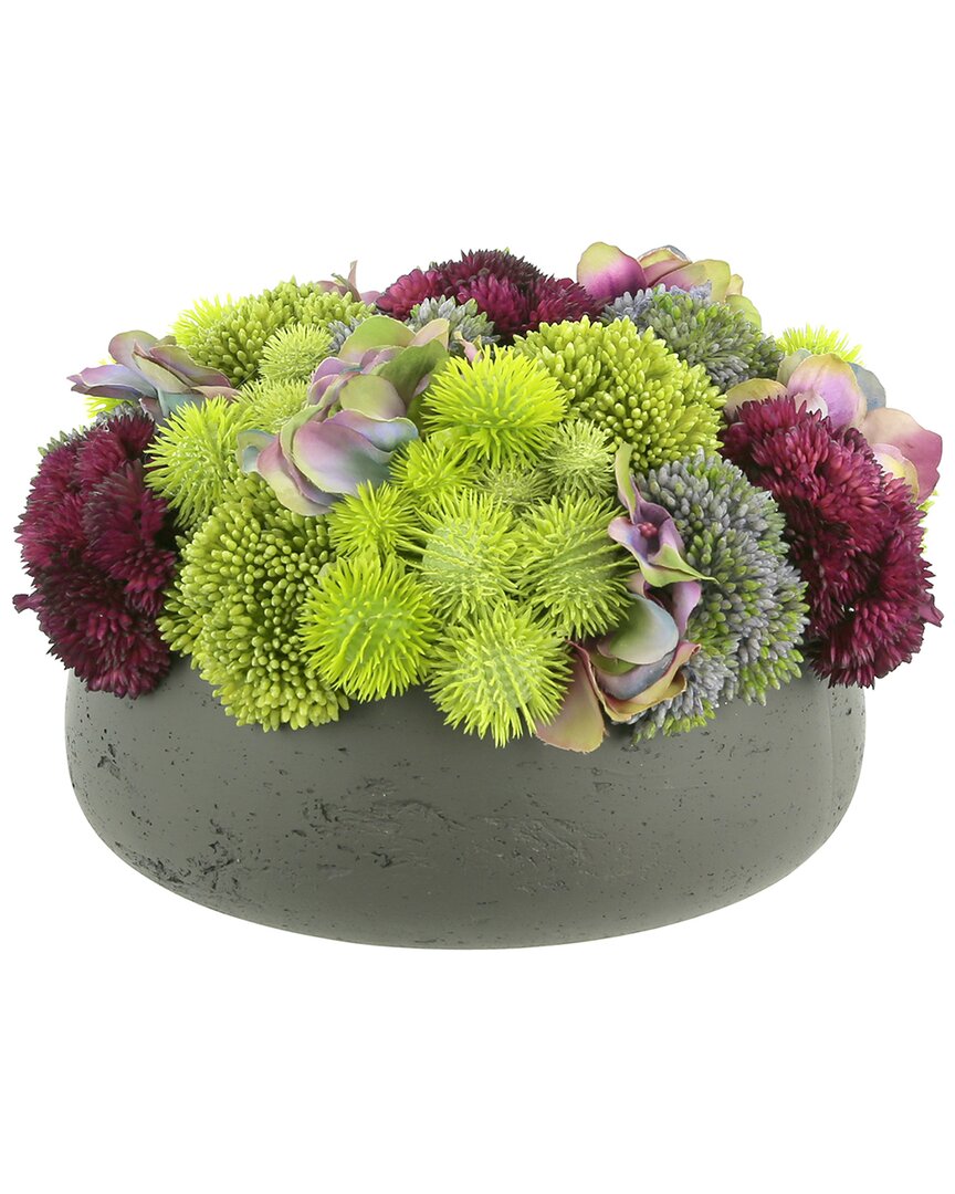 Creative Displays Sedum & Hydrangea Arranged In Round Pot In Green