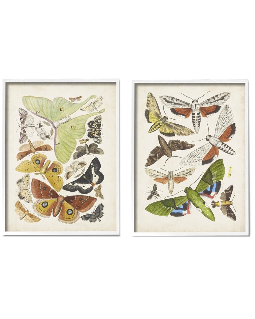 Stupell Vintage Moths Latin Studies By World Art Group Wall Art