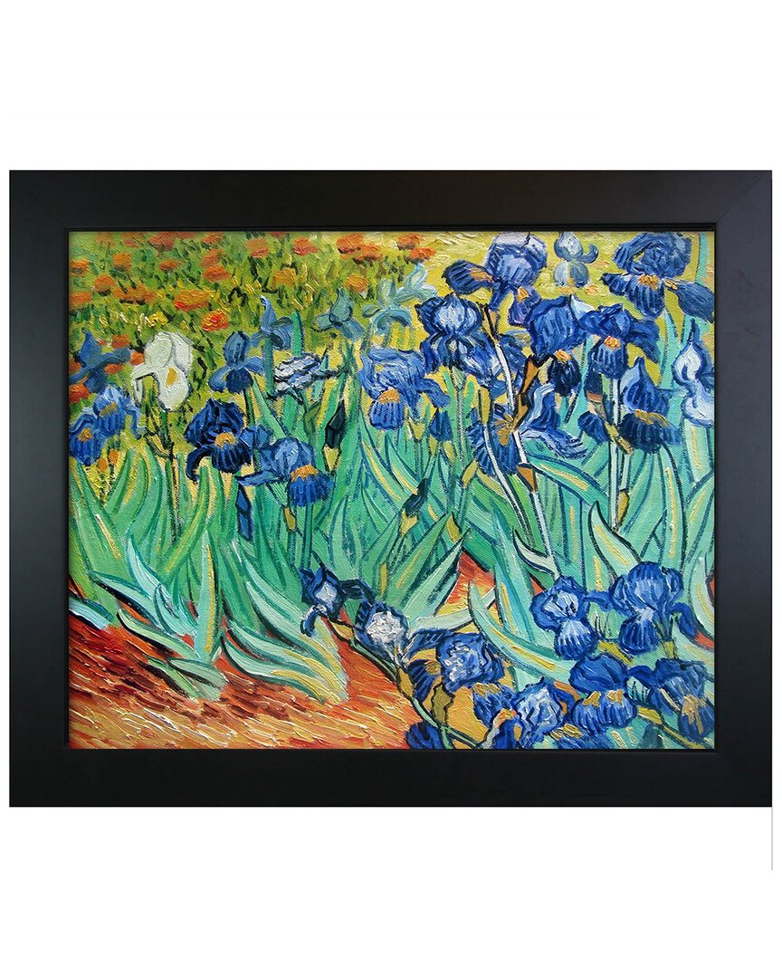 La Pastiche Irises New Age Canvas Art Print In Multicolor