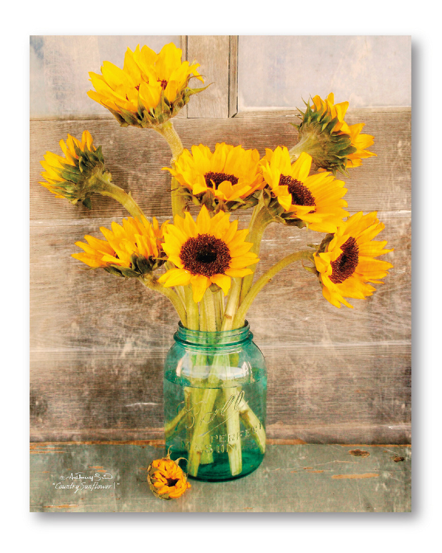 Courtside Market Wall Decor Sunflowers In A Mason Jar Gallery