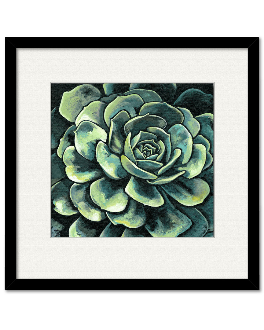 Courtside Market Wall Decor Succulent Bloom Ii Gallery Collection Framed Art