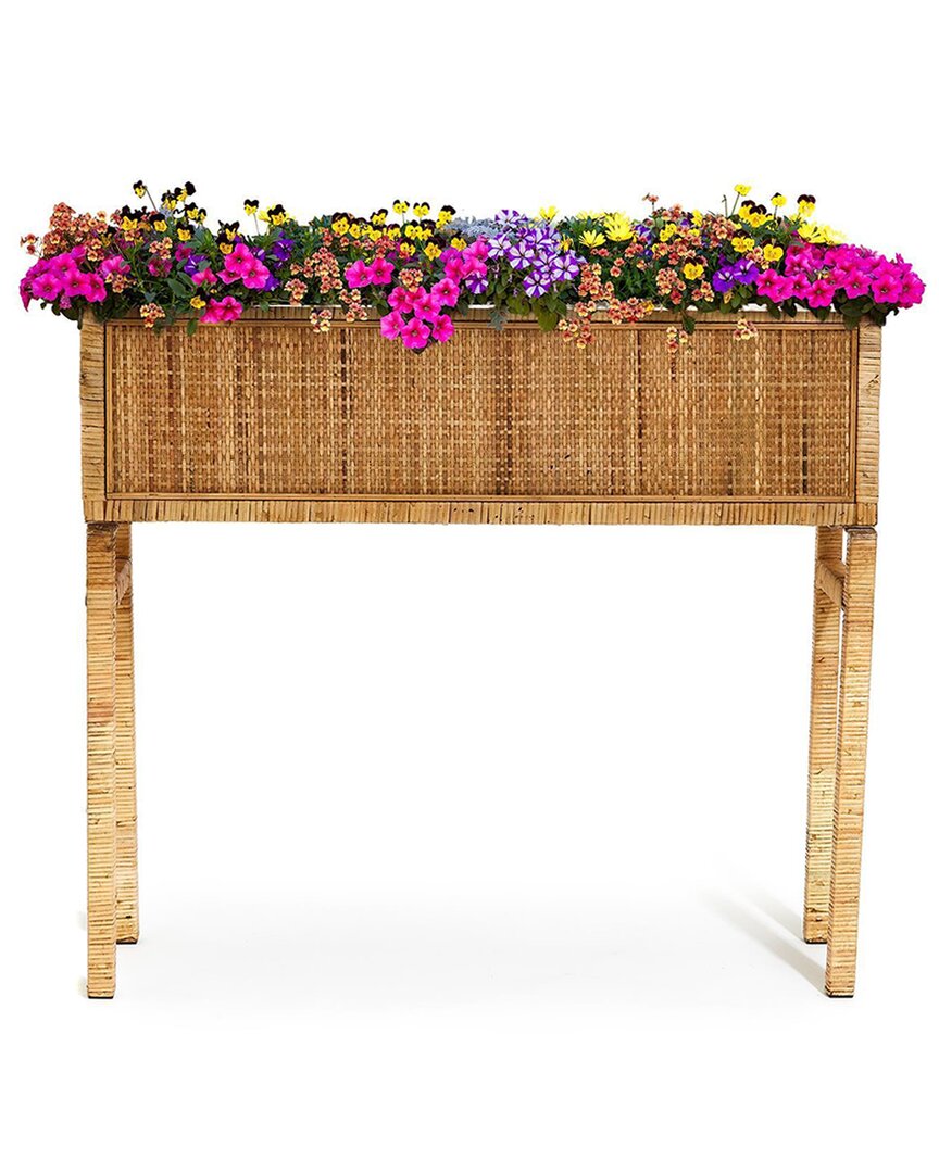 Two's Company Rattan Table Planter In Beige
