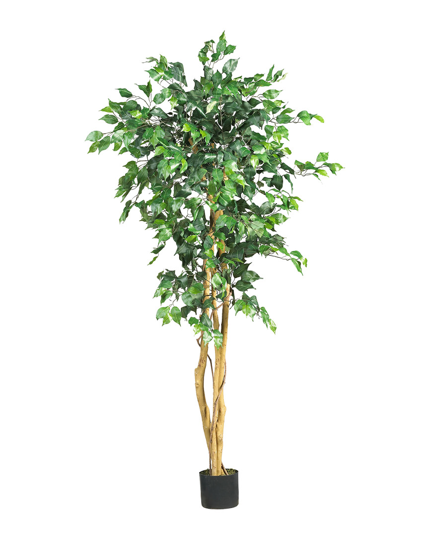 Shop Nearly Natural 5 Ficus Tree