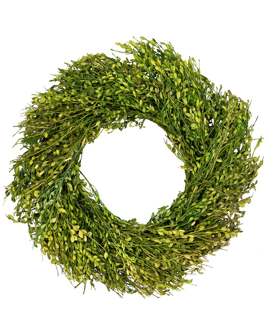 Northlight Foliage Artificial Wreath In Green