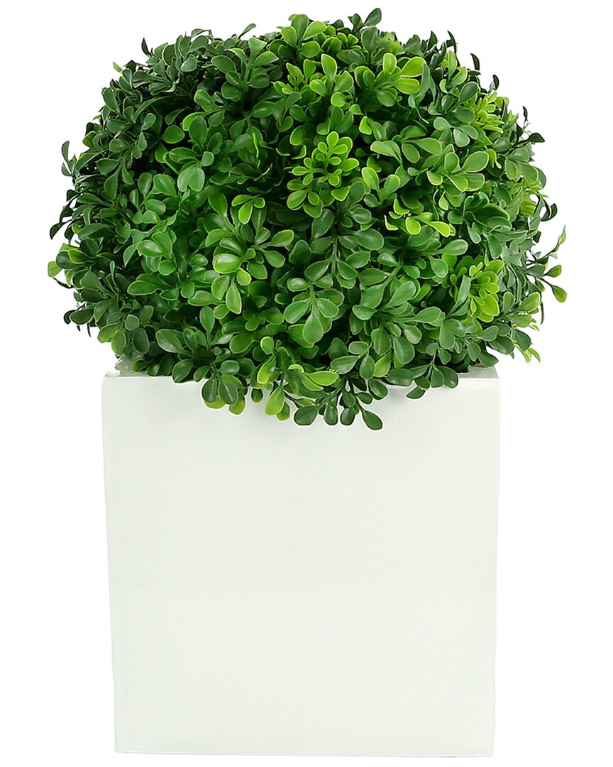 Creative Displays Uv-rated Outdoor Boxwood Ball In Square Planter In Green