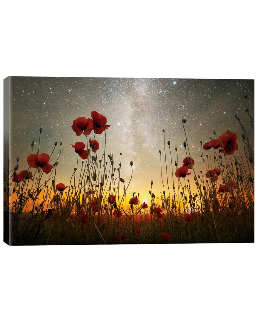 Icanvas Moonrise Kingdom I By Adrian Borda Wall Art