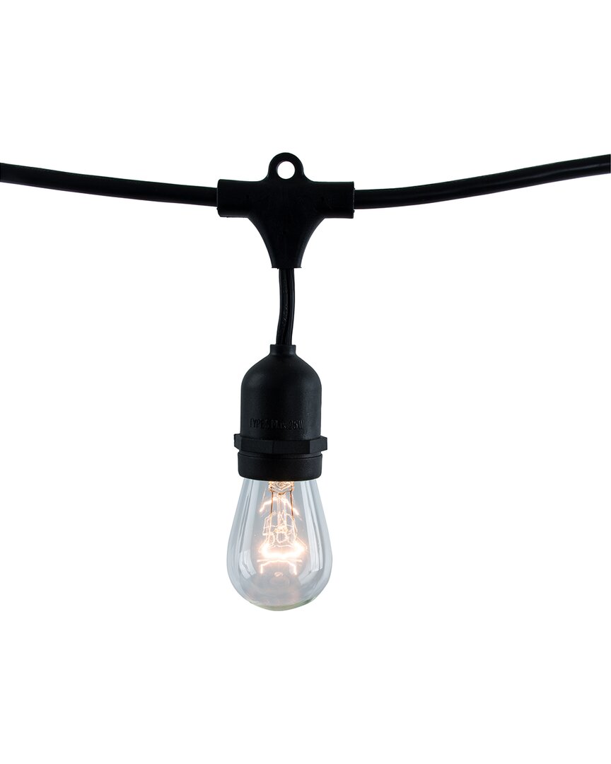 Bulbrite 30ft 12-bulb Indoor/outdoor String Lights
