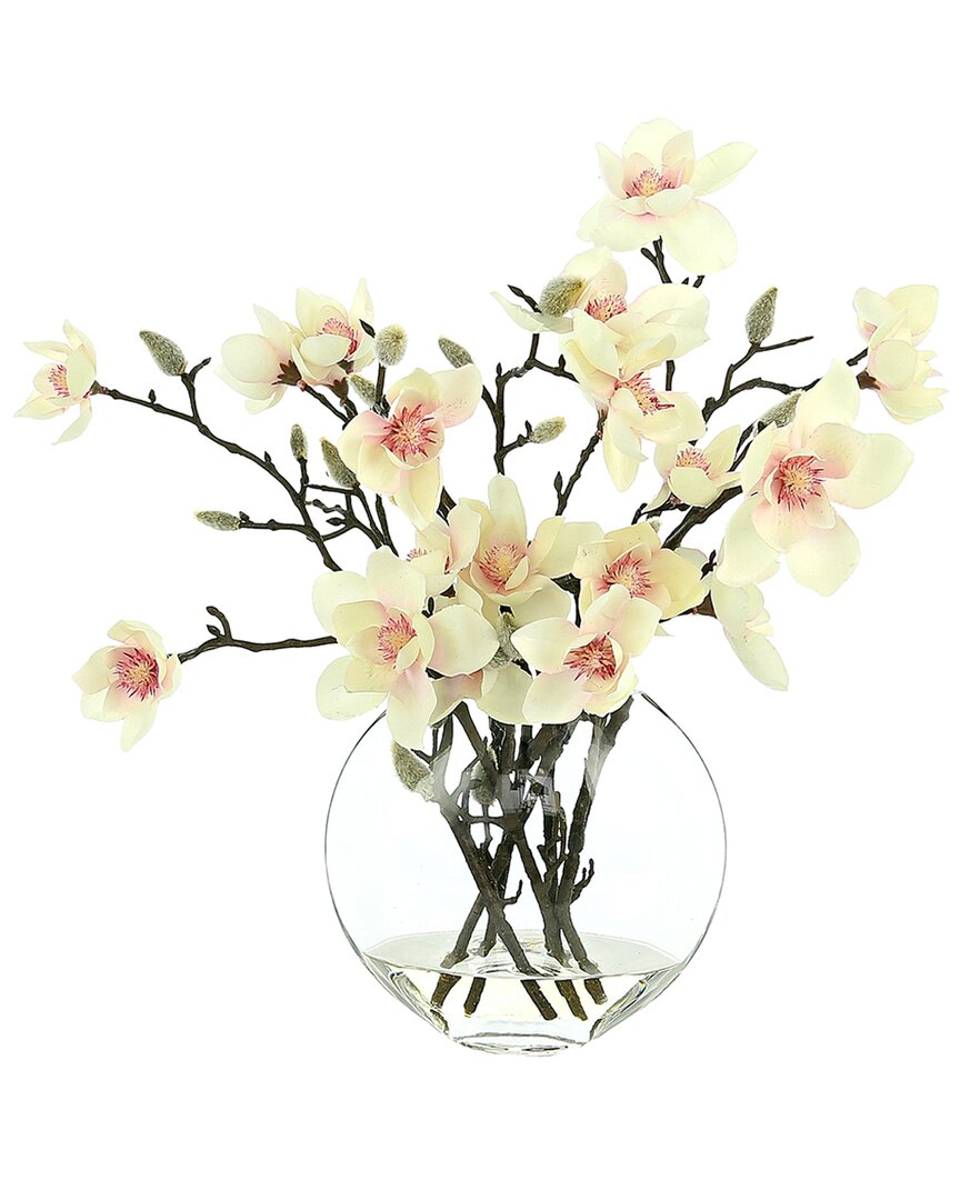 Creative Displays Pink/white Butterfly Magnolia Floral Arrangement