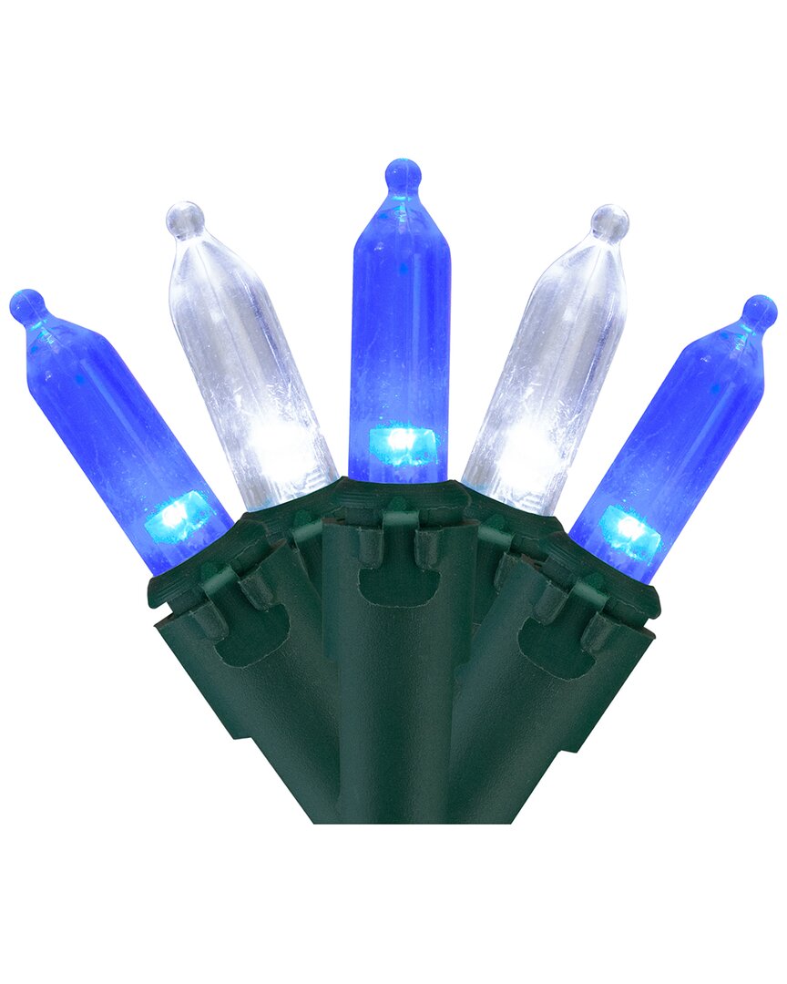 Northern Lights Northlight Set Of 100 Blue & Pure White Led Mini Christmas Lights 4in Spacing  - Green Wire In Blue
