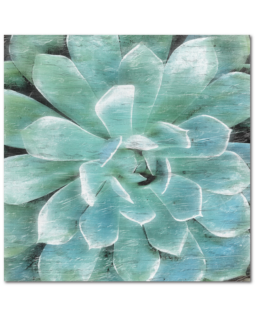 Courtside Market Wall Decor Succulent Memory I Canvas Wall Art In Green