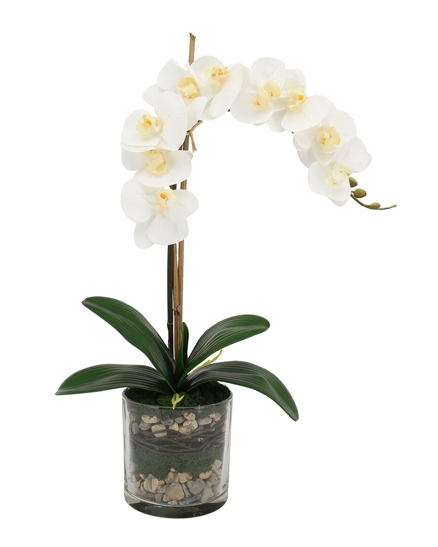 Creative Displays White Orchid Floral Arrangement