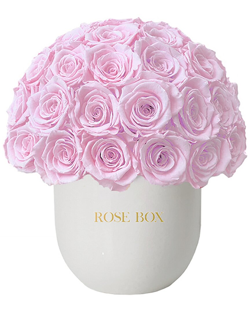 Shop Rose Box Nyc Ceramic Classic Half Ball With Light Pink Roses