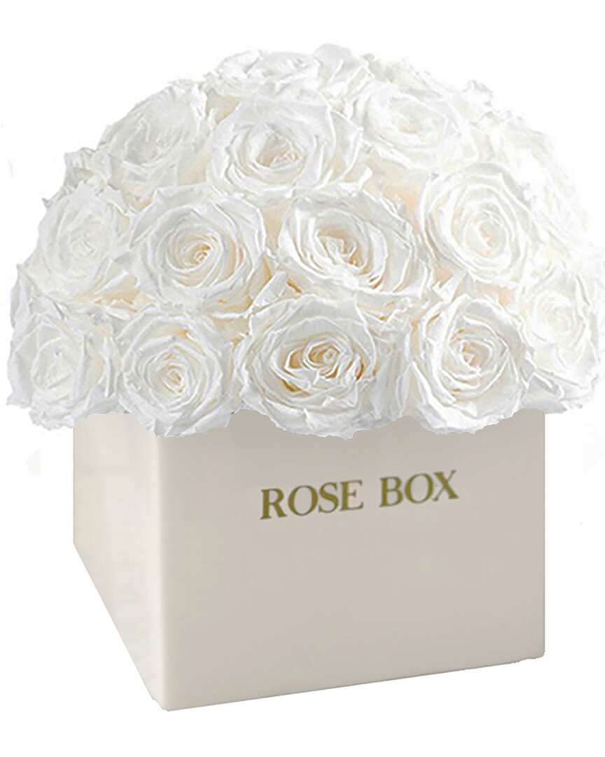 Rose Box Nyc Custom Ceramic Square Classic Half Ball With Pure White Roses