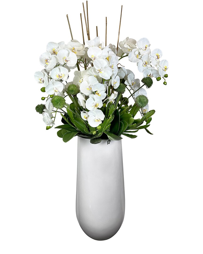 Creative Displays White Orchid And Allium