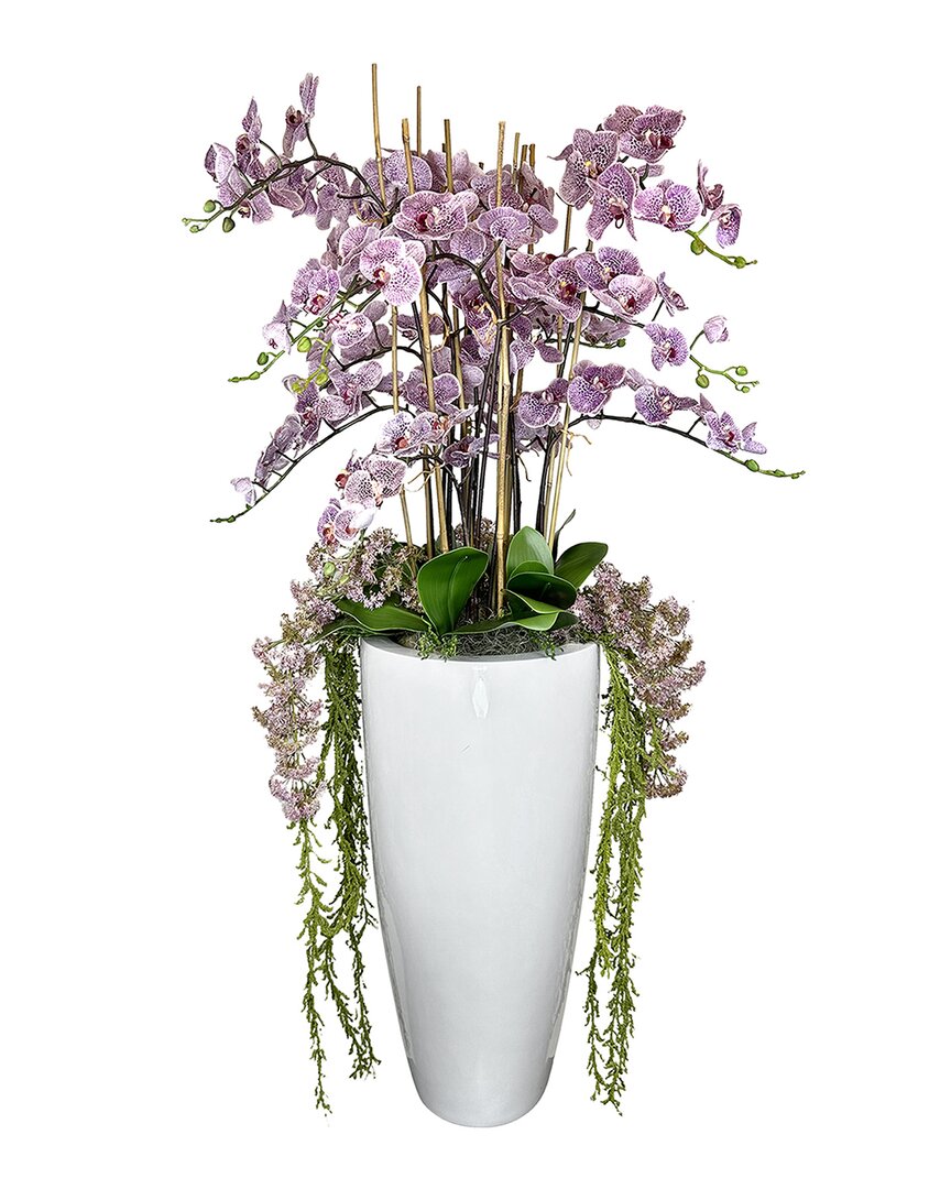 Creative Displays Lavender Orchid And Amaranthus In Pink
