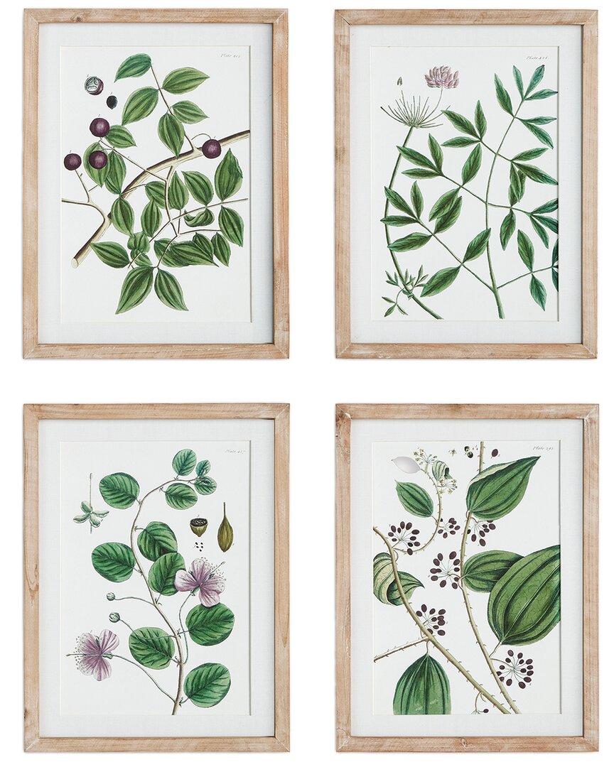Napa Home & Garden Set Of 4 Verdant Branch Prints