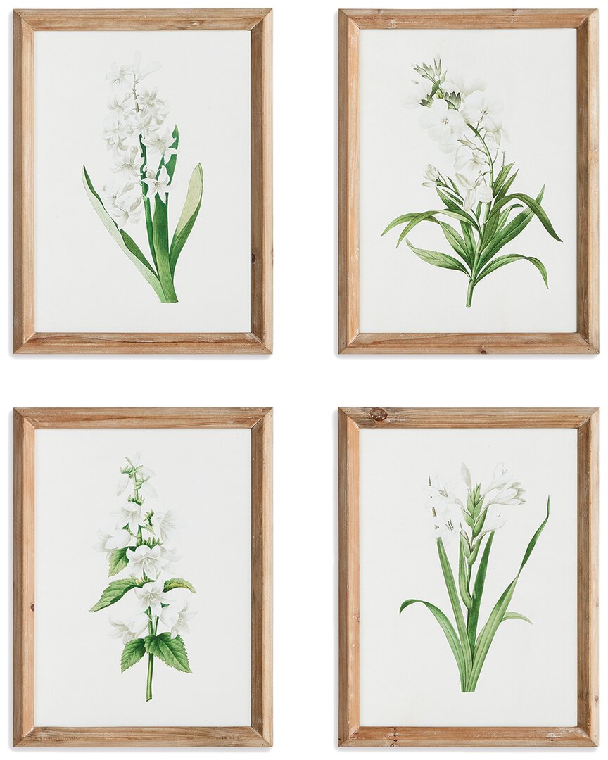Napa Home & Garden Set Of 4 Garden Bloom Prints