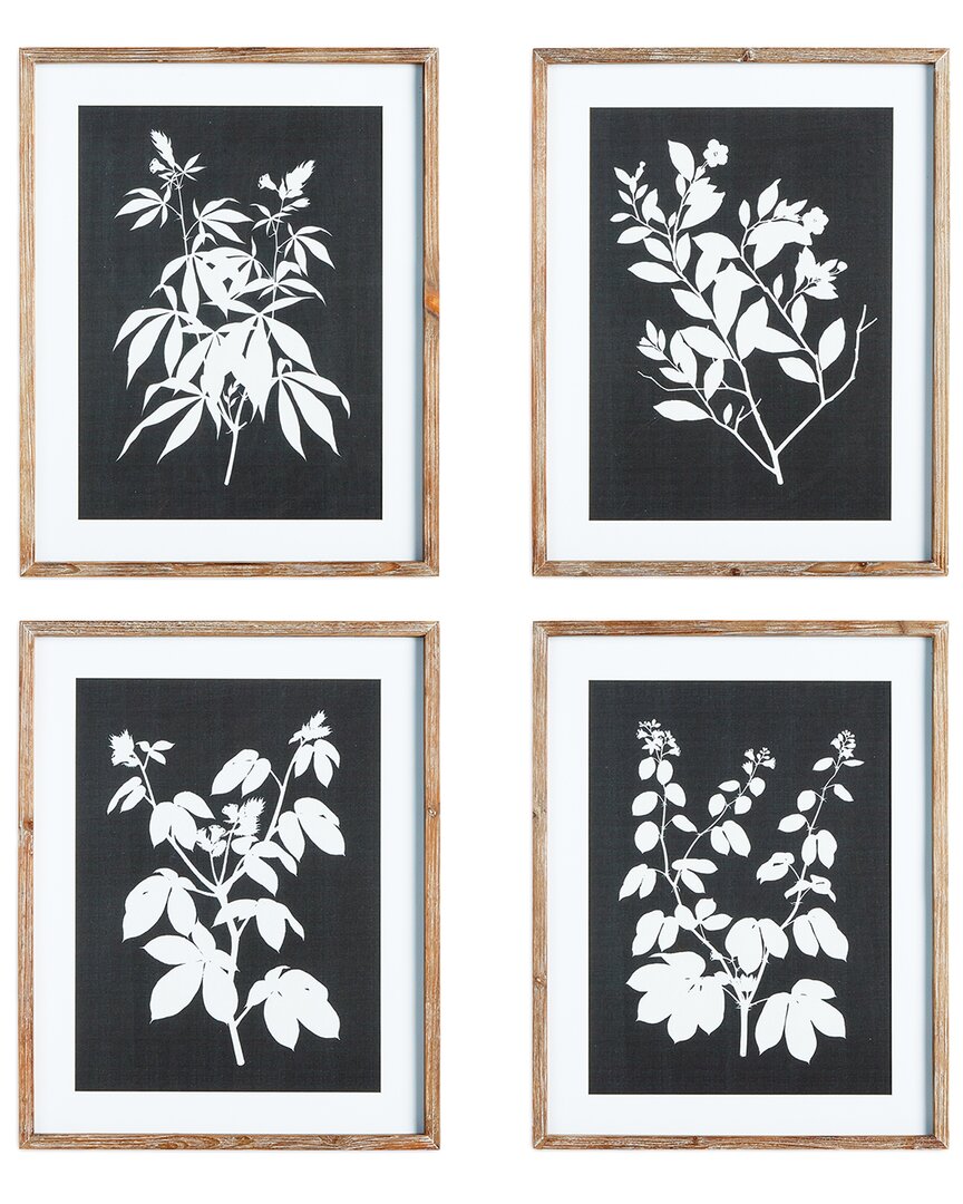 Napa Home & Garden Monochrome Botanical Prints Se