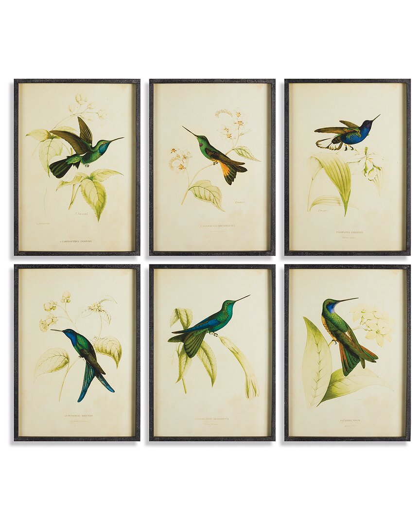 Napa Home & Garden Set Of 6 Hummingbird Prints