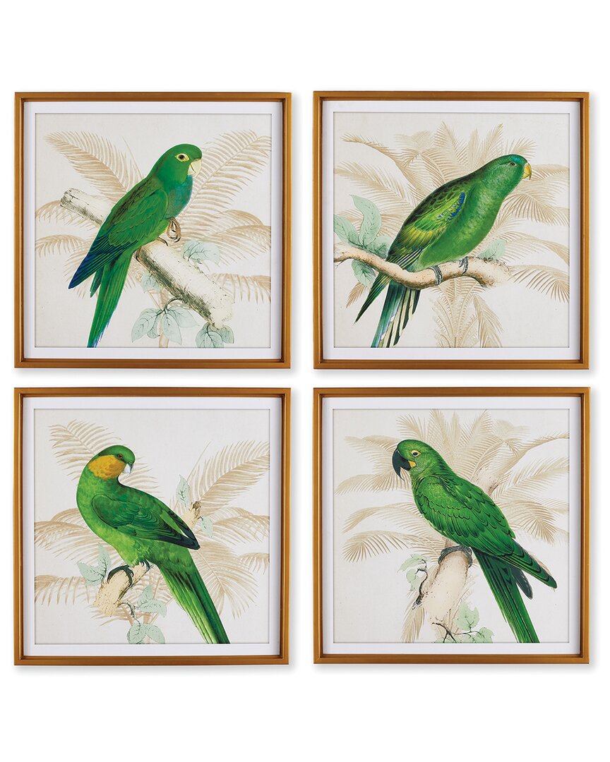 Napa Home & Garden Set Of 4 Green Parrots Study
