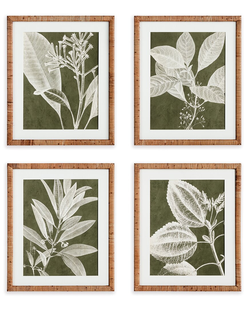 Napa Home & Garden Translucent Stem Prints Set